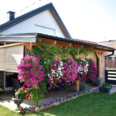Apartman Tea Valpovo Екстериор снимка
